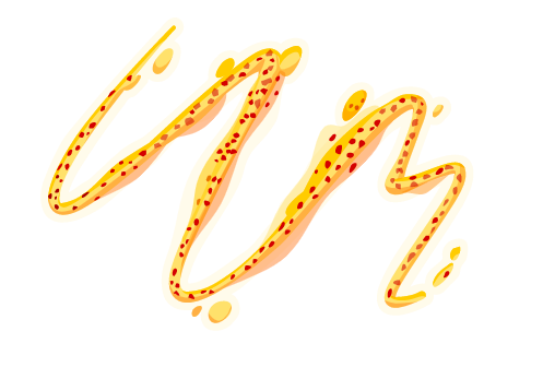 Drizzle of chilli oil